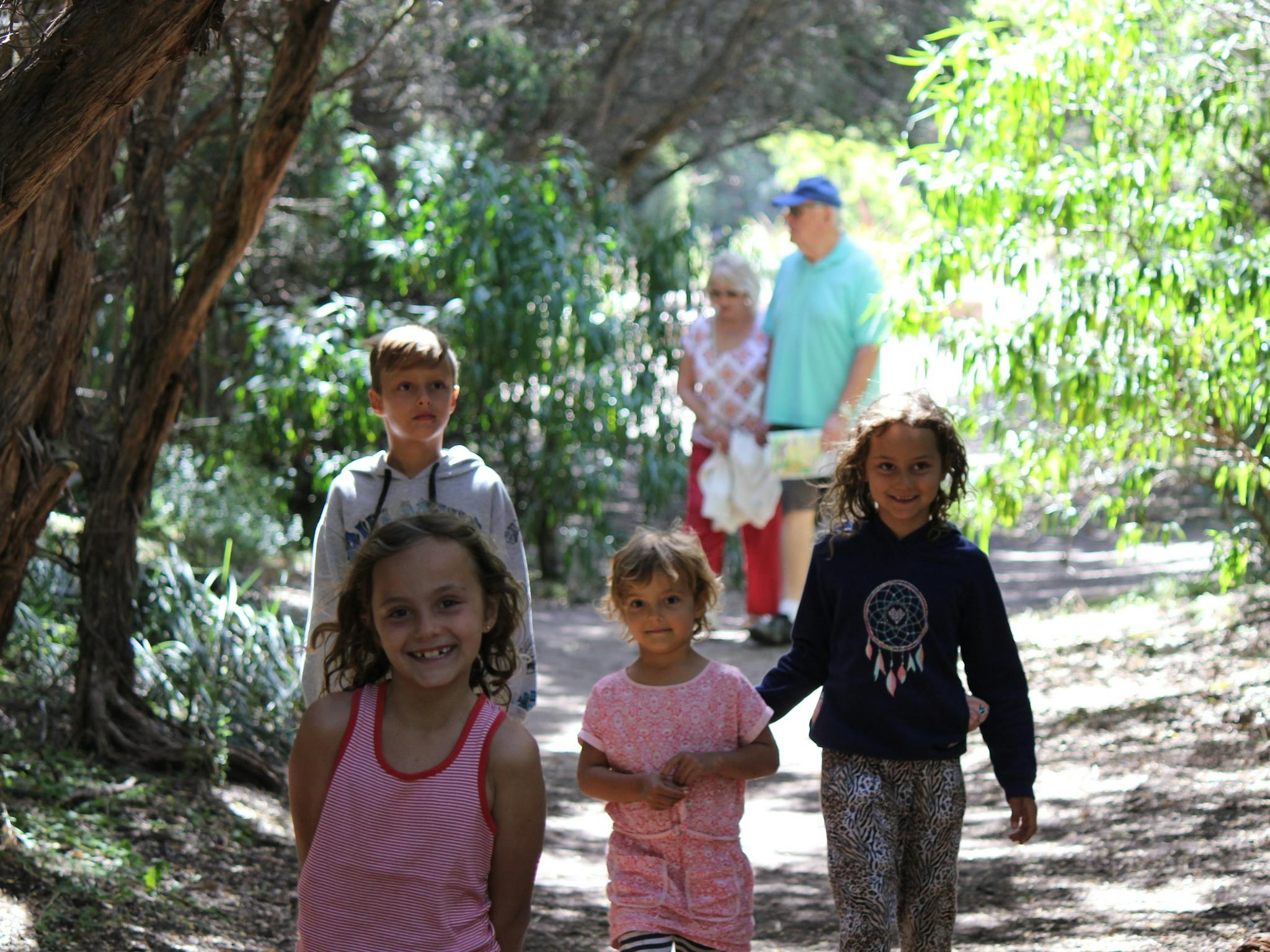 what to do with kids great ocean road