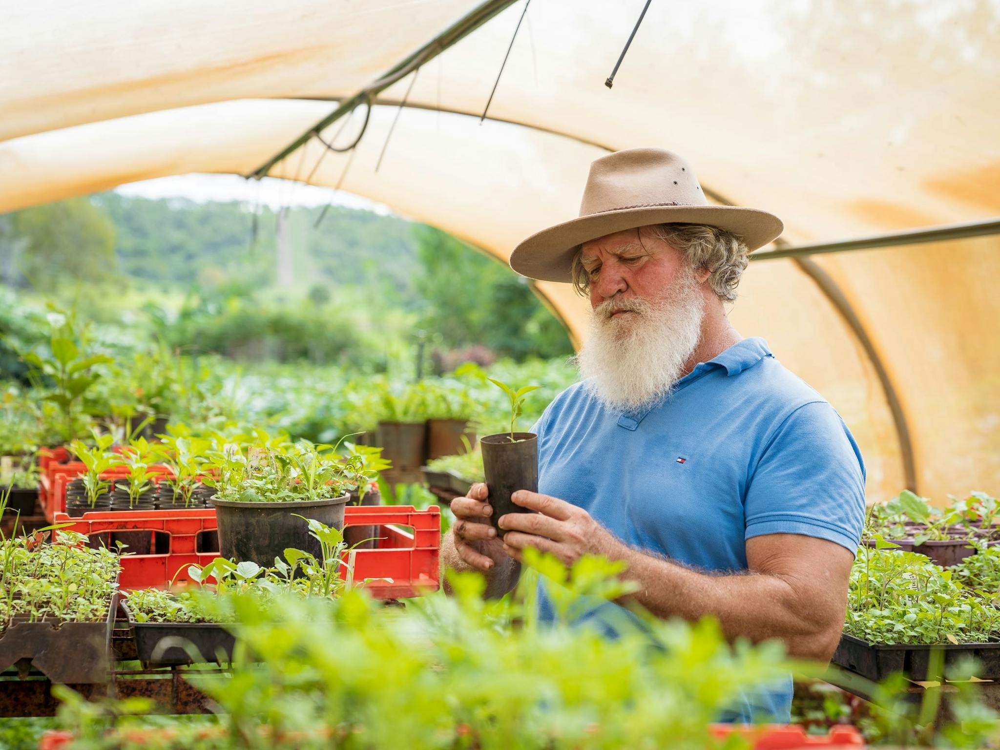 Yeppoon, Farm Tours