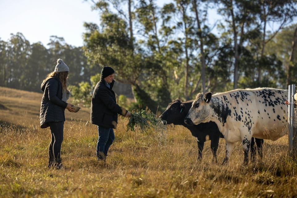 Paradise Road Farm photo