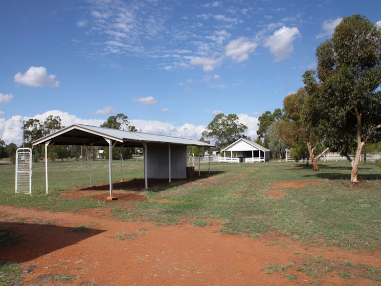 Trundle Showground