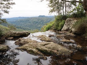 Springbrook Plateau, Springbrook National Park