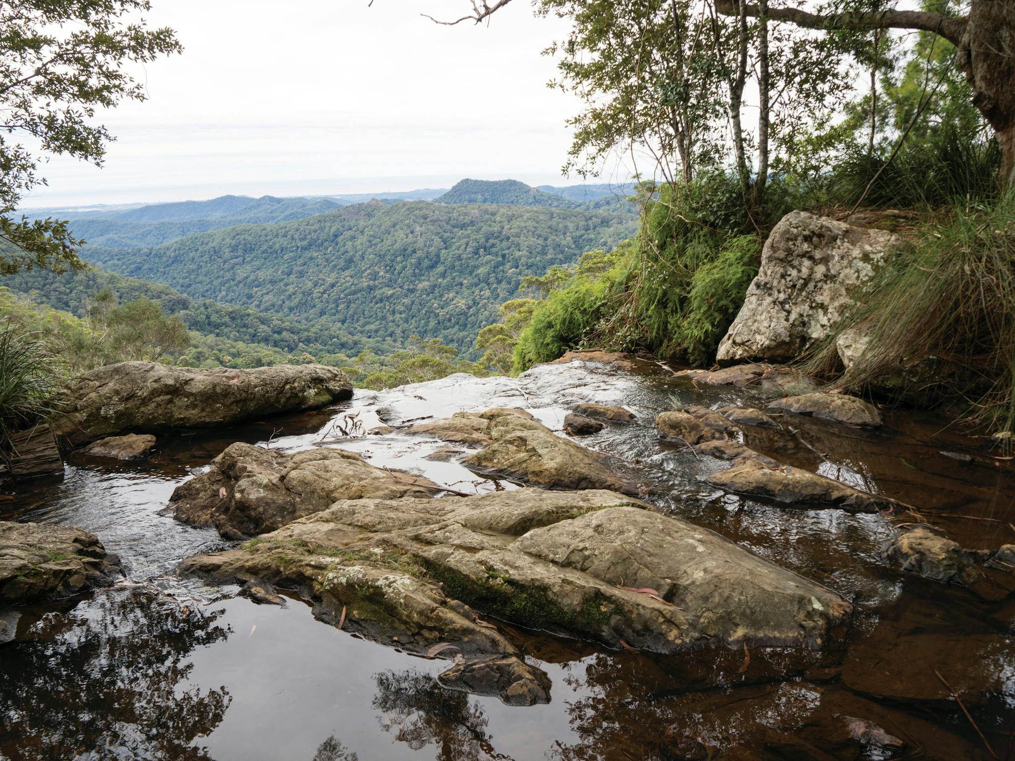 Springbrook Ranges Qld Springbrook Plateau Springbrook National Park | Attractions | Queensland