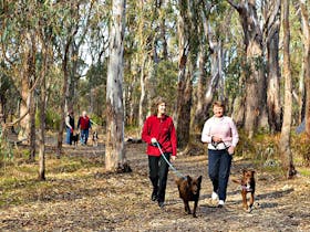 Gulpa Creek walk, Murray Valley National Park. Photo: Gavin Hansford