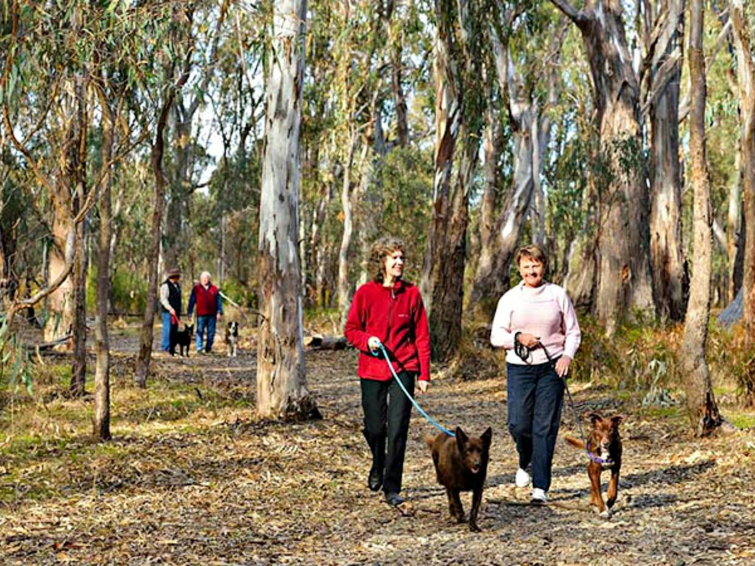 Gulpa Creek Walk