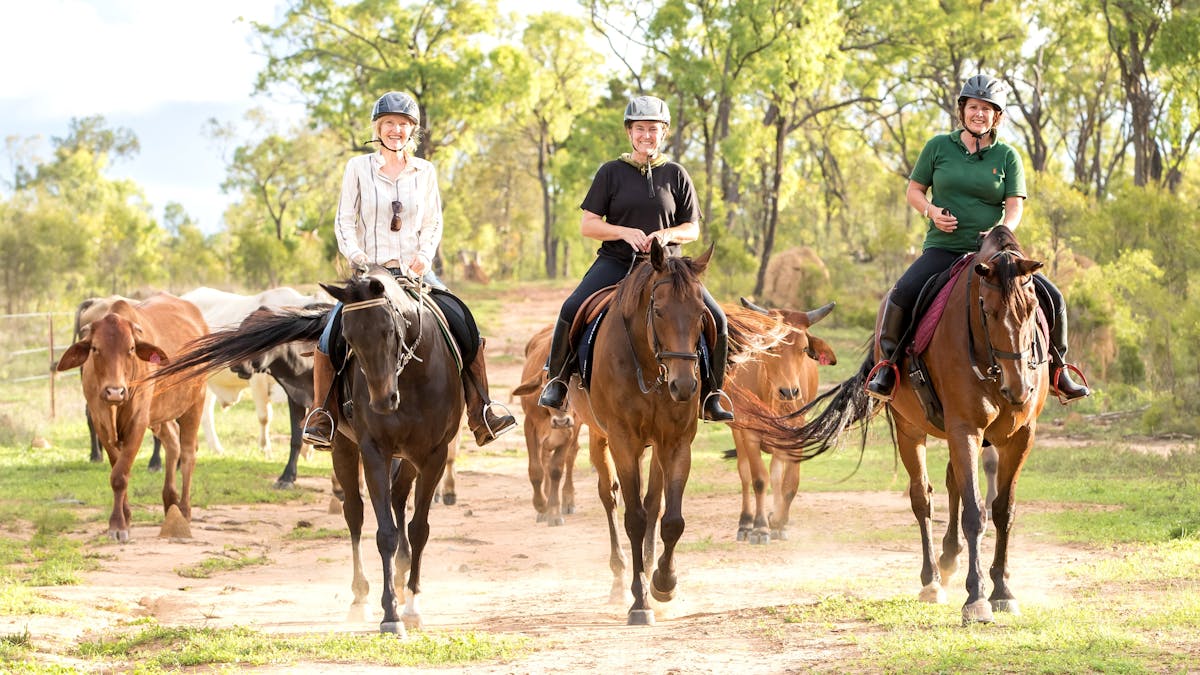 Out for a ride with some of the herd following