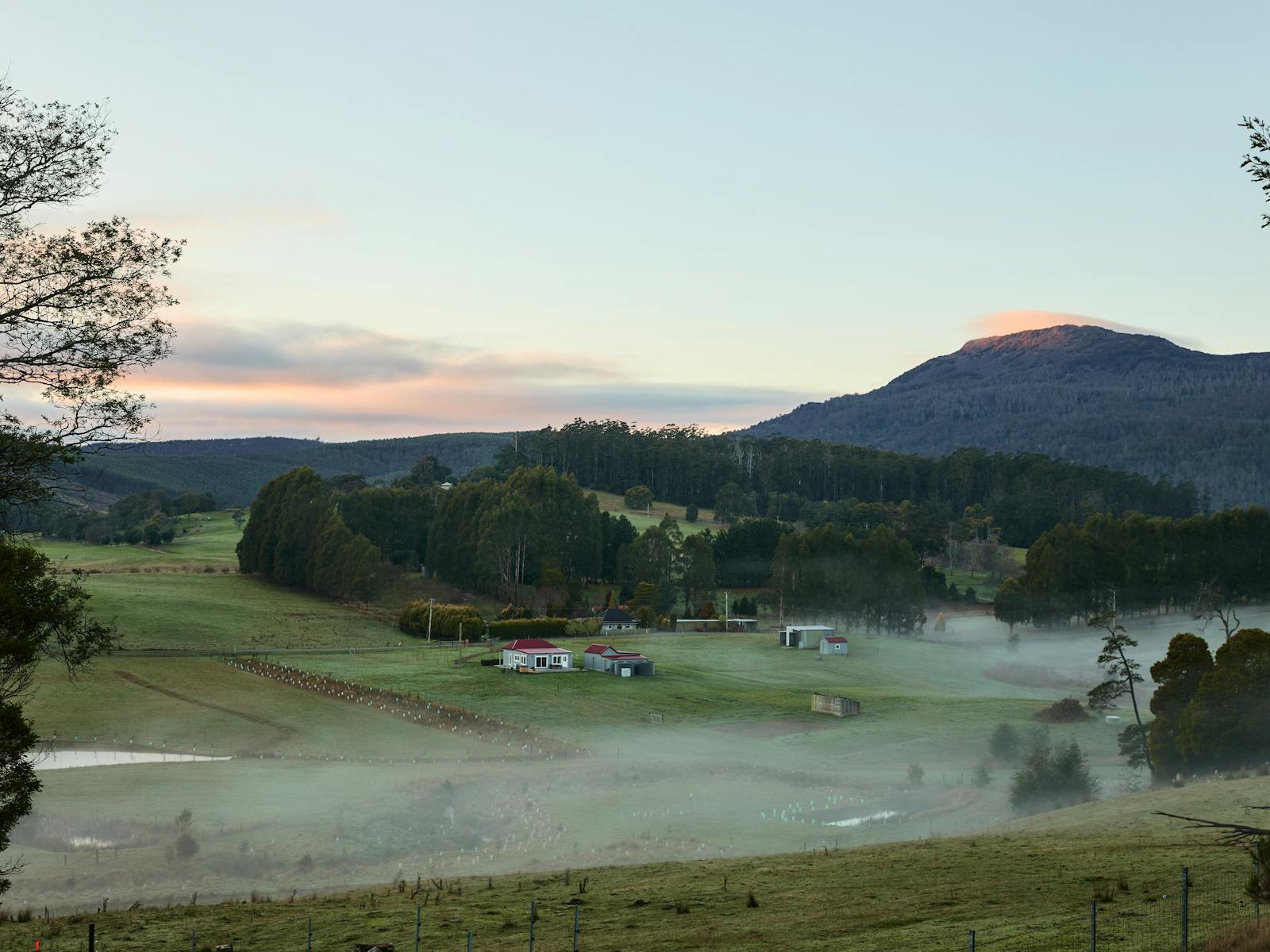 View of Mt Arthur with misty valley and view of Pa's Place