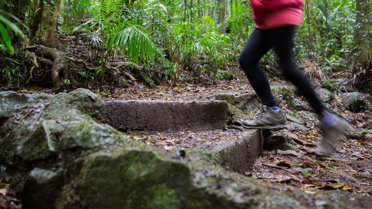 A woman walking along a track in Maiala Rainforest, D'Aguilar National Park