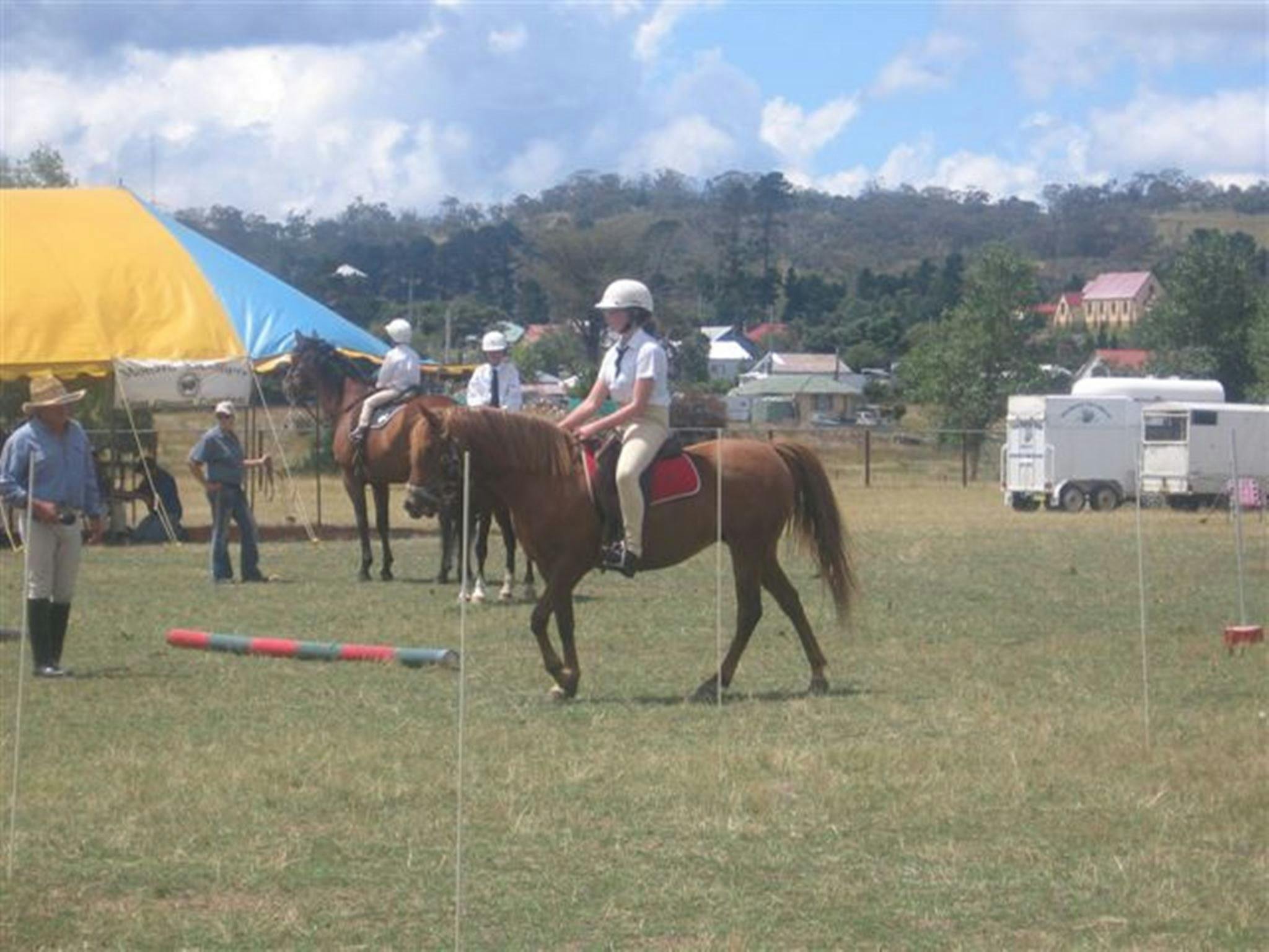 Nimmitabel Show