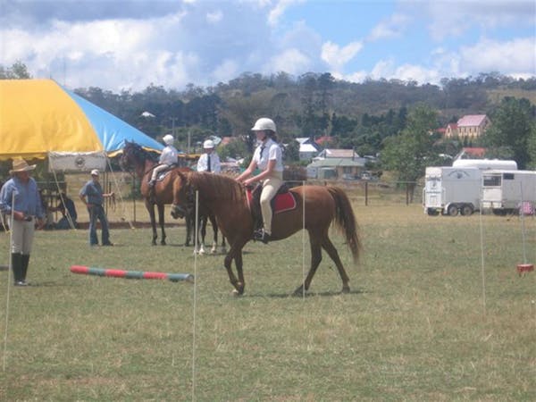 Nimmitabel Show