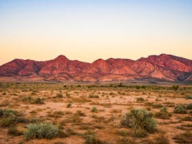 Heysen Range at Sunset Edeowie Station