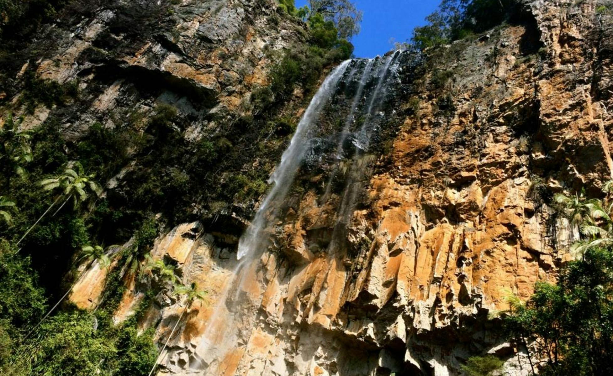 Gold Coast Hinterland Highlights 8