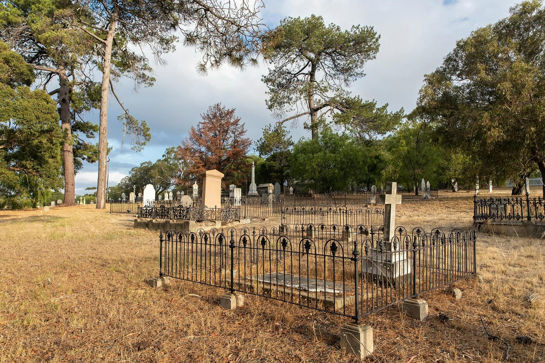 An untouched sanctuary in the middle of the CBD
