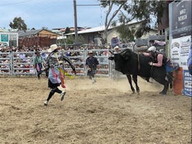 Jindabyne Man From Snowy River Rodeo Cover Image