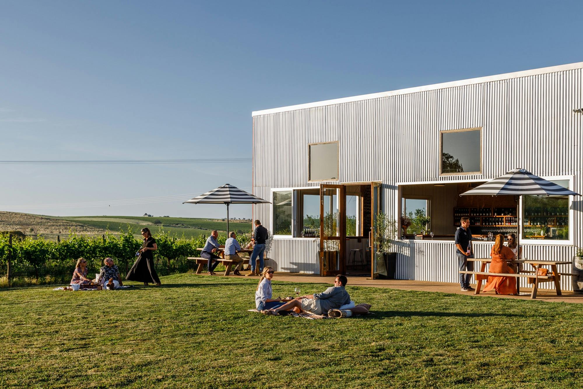 Wine Tasting at Nashdale Lane