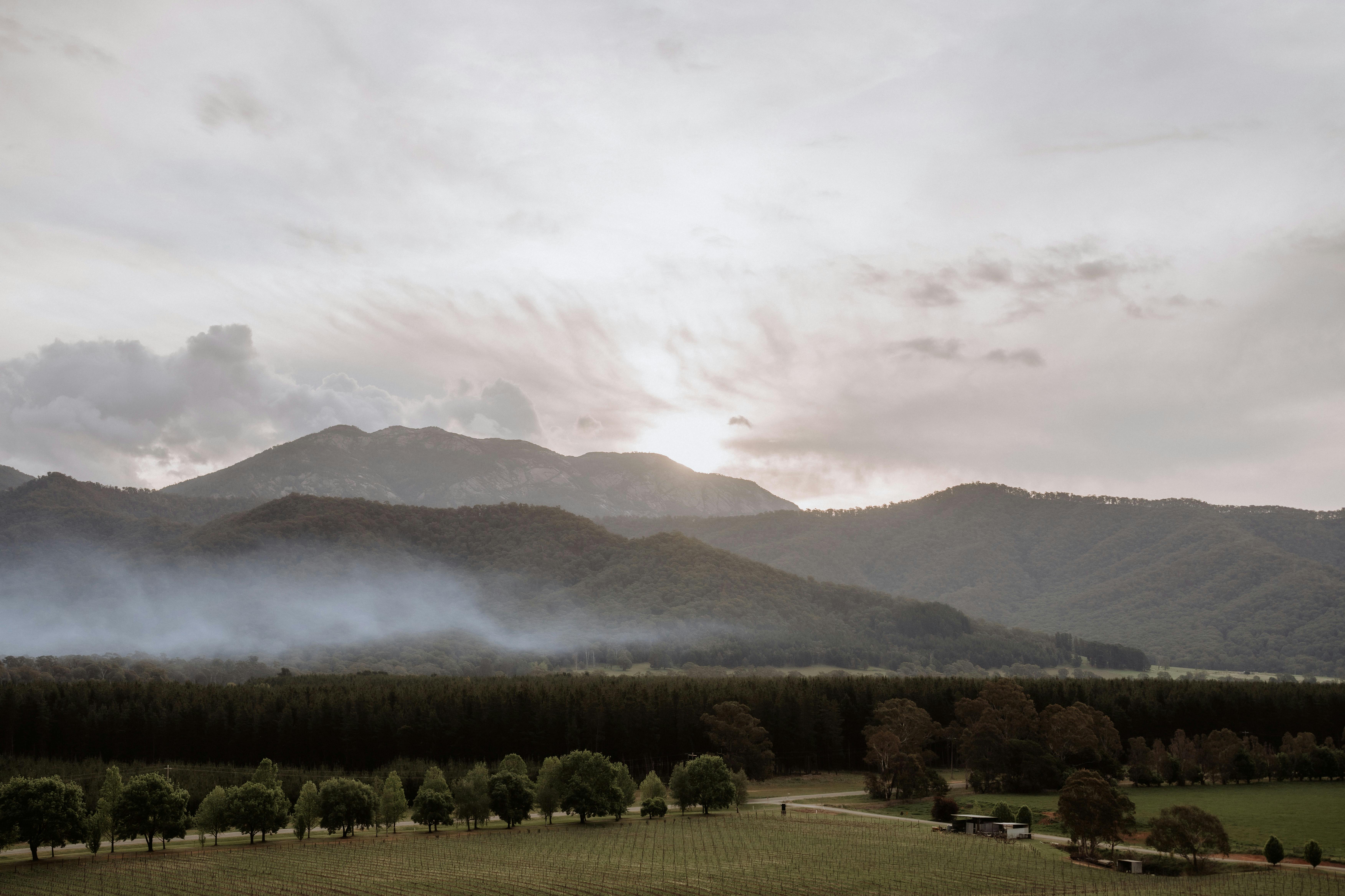Landscape