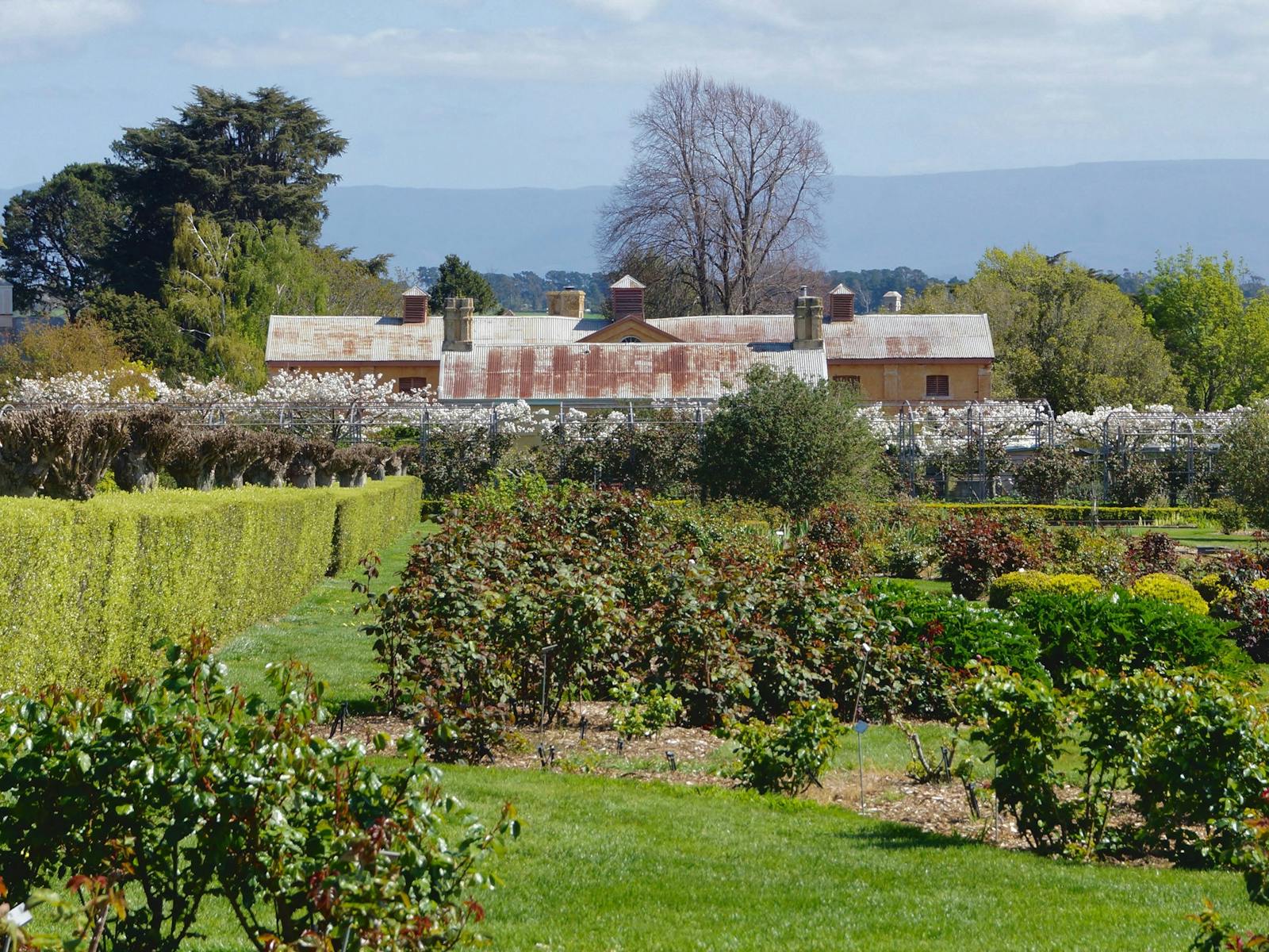 Looking at the estate from the rose garden
