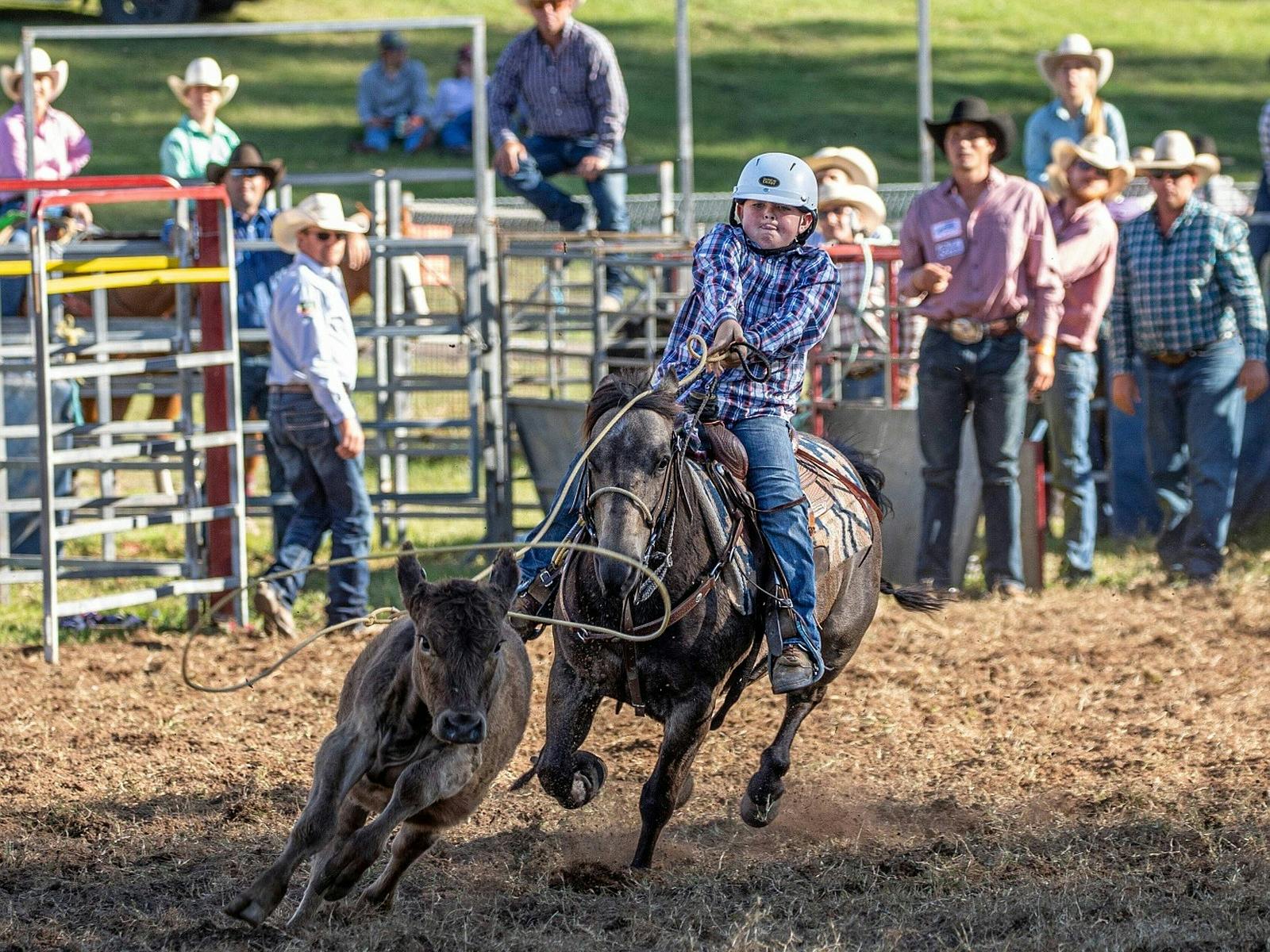 Dungog Rodeo