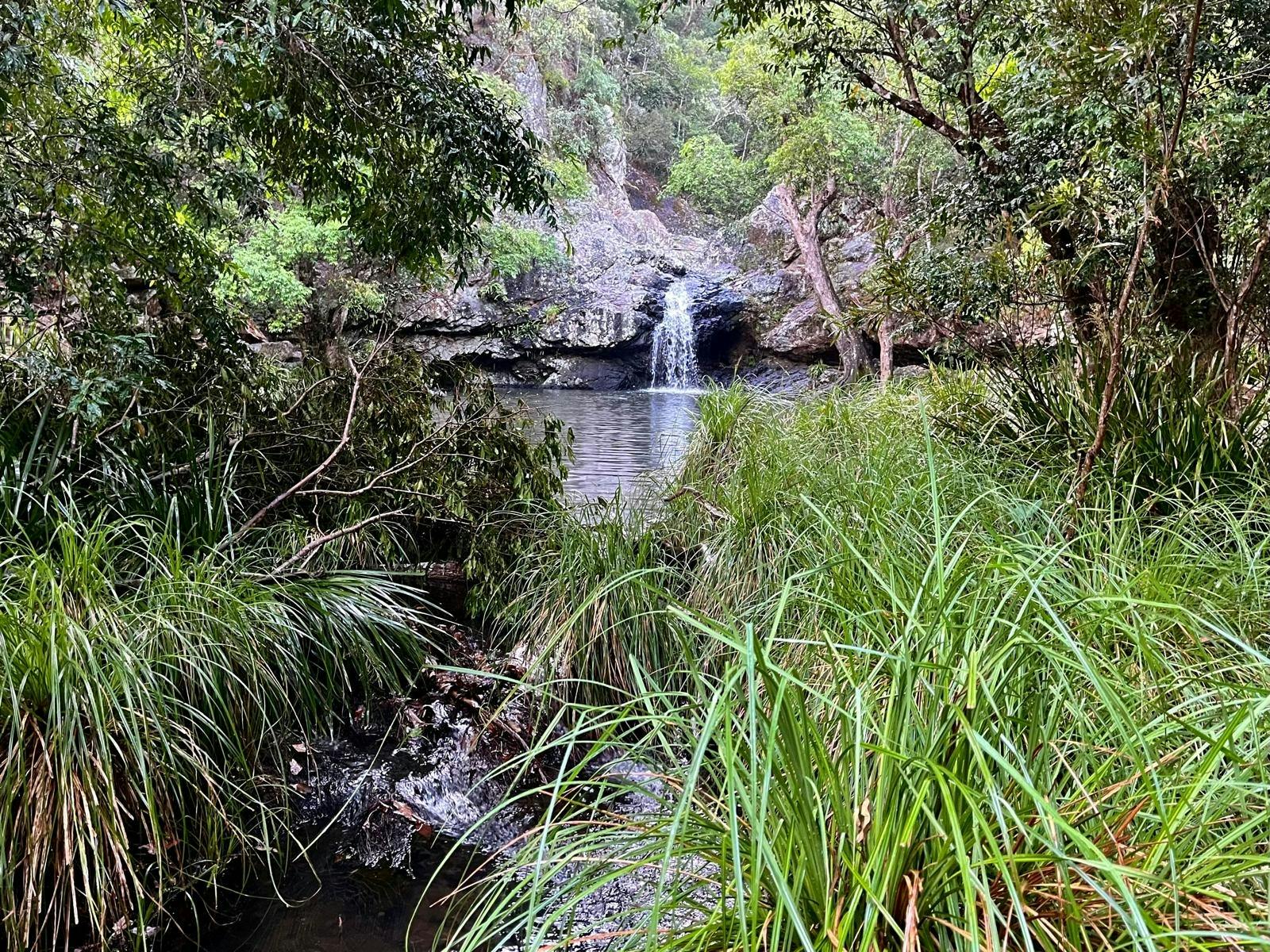 Rainforest Walk Maleny
