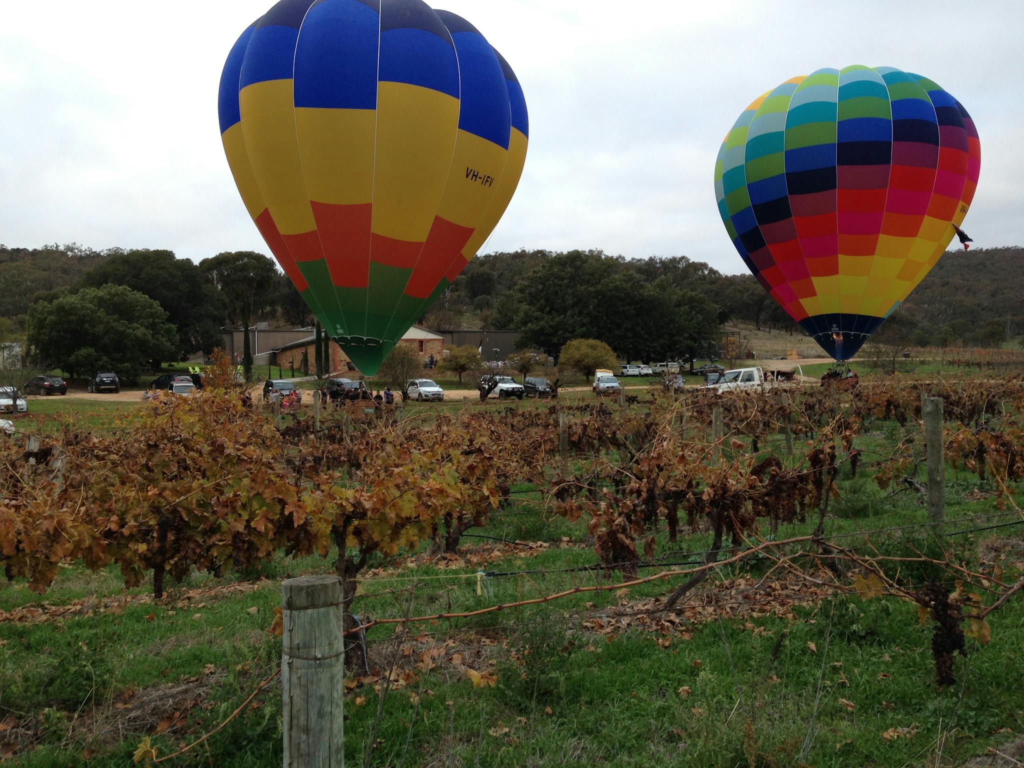 Up, up and away at Taminick Cellars