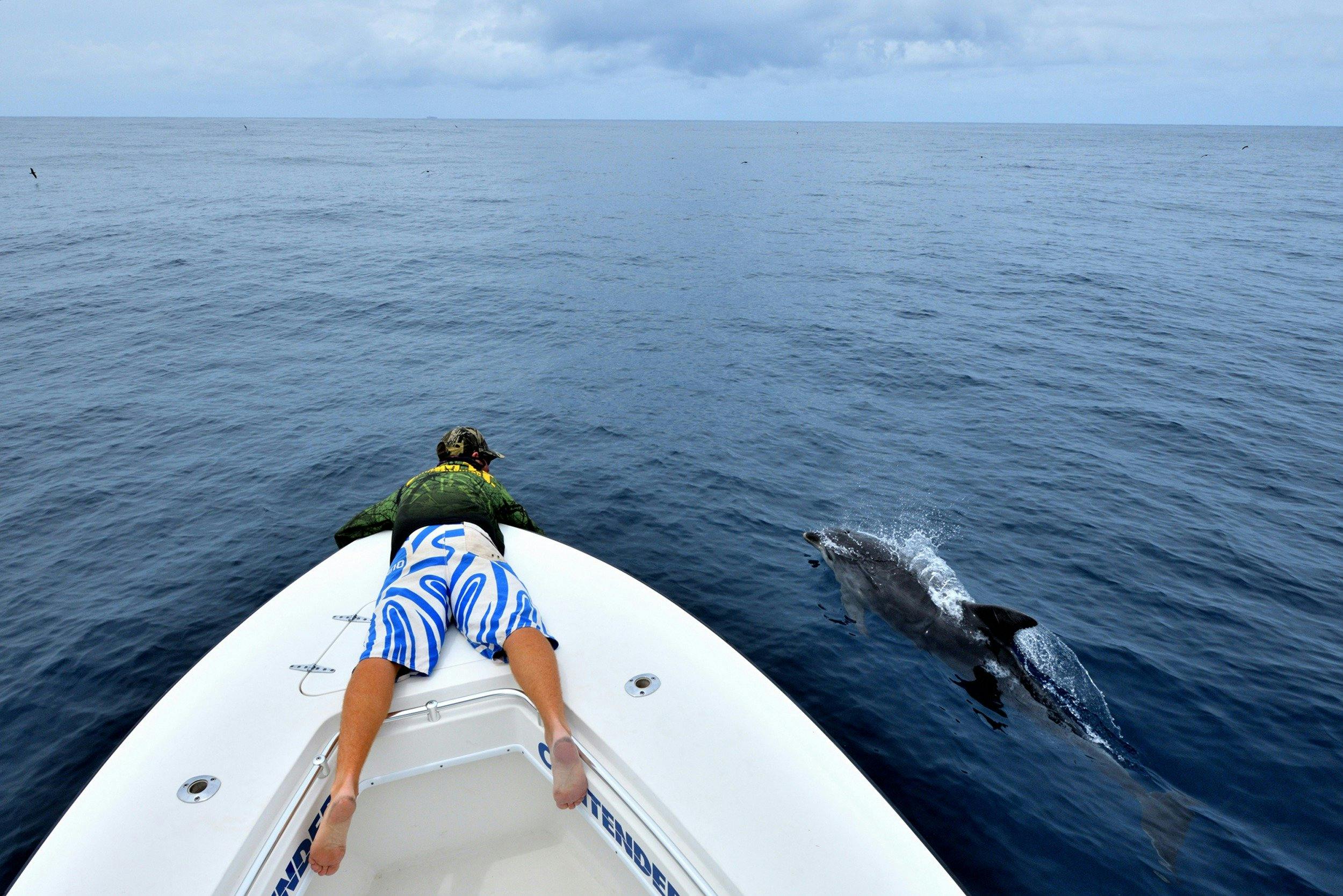 Fishing South West Rocks Dolphins
