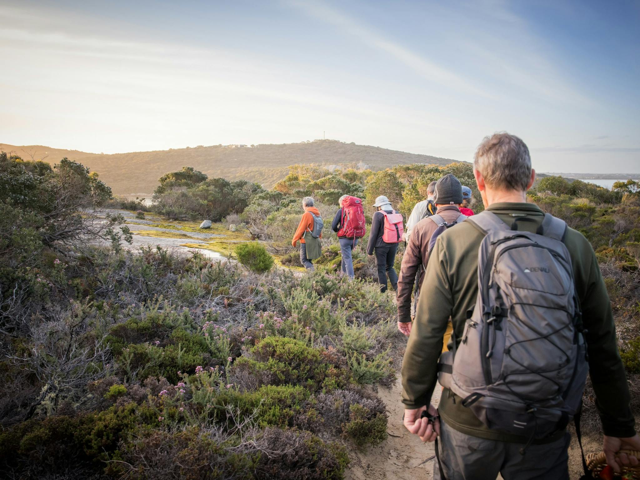 people viewed from back with backpacks on in bushland