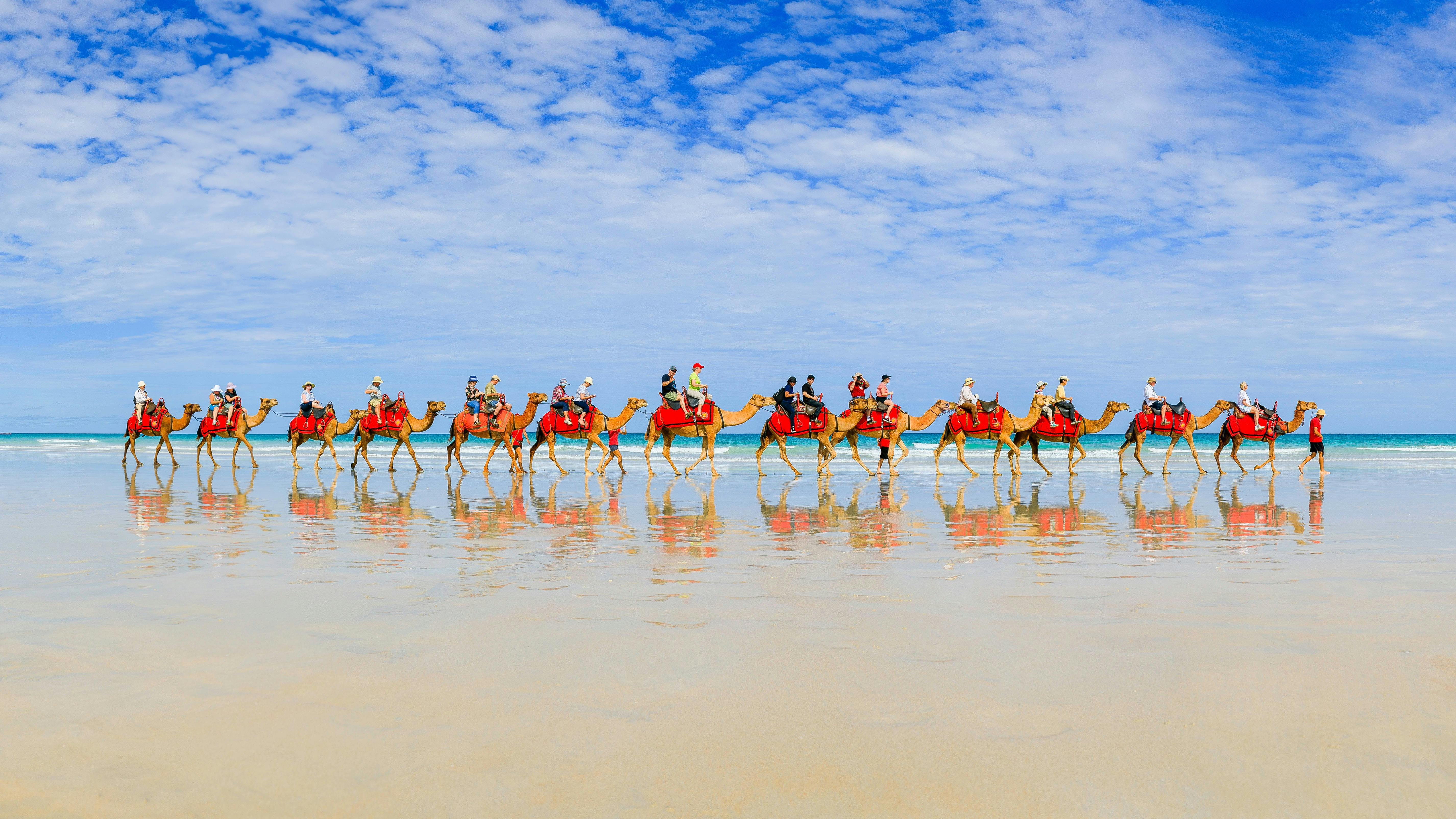 Red Sun Camels Magical Morning Tour