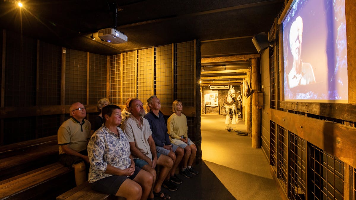 Group of people watching movie presentation on screen