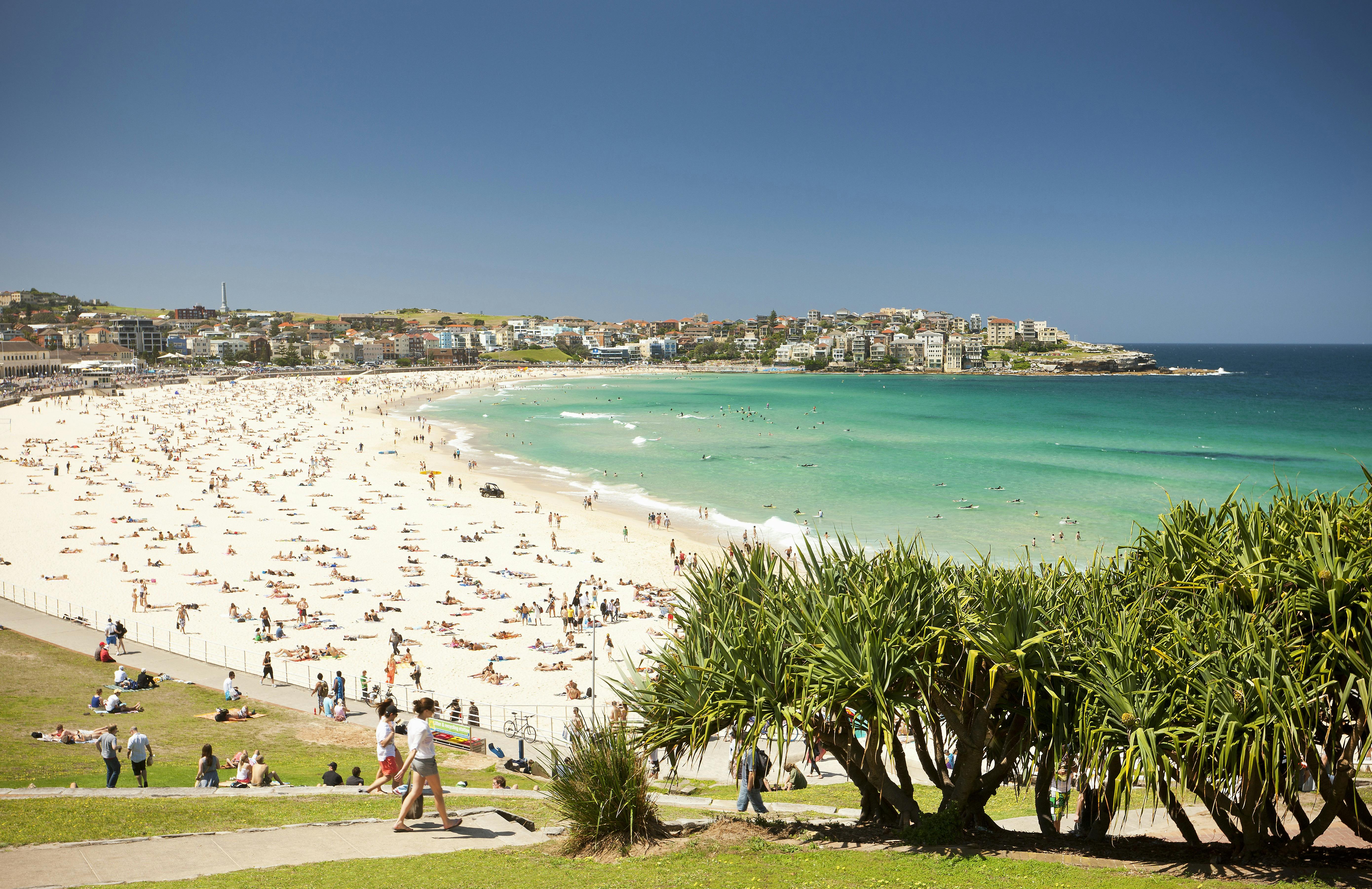 Bondi Beach in Summer.