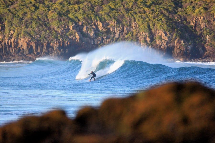 The Farm - Killalea State Recreation Area