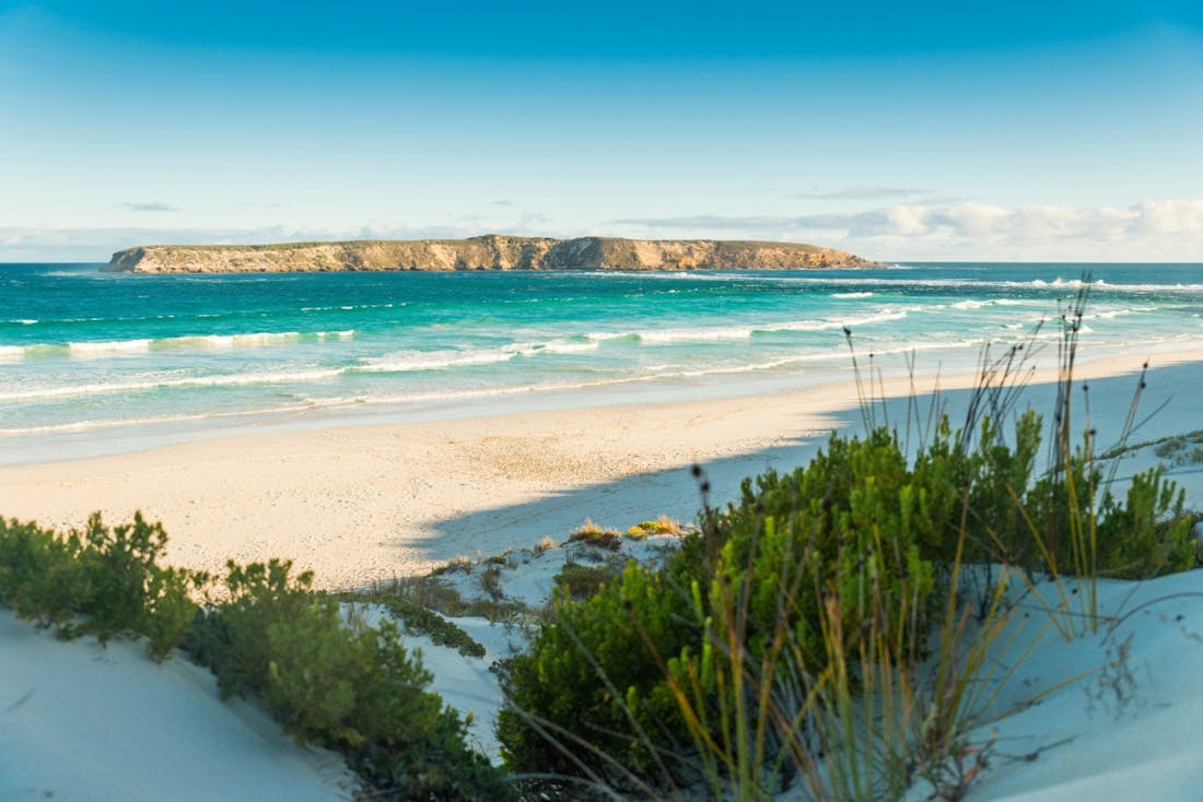 Coffin Bay National Park Coffin Bay, Attraction South Australia