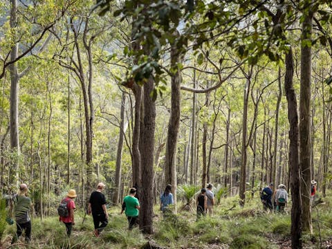 Visitors walk in single file along the Buddawang Track