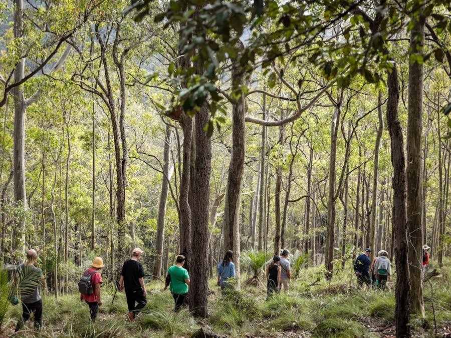 Visitors walk in single file along the Buddawang Track