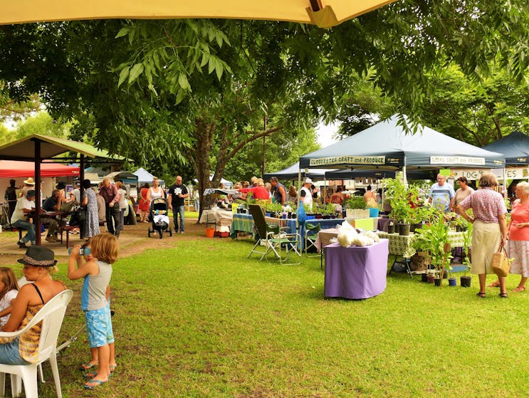 Gloucester Farmers Market in Billabong Park