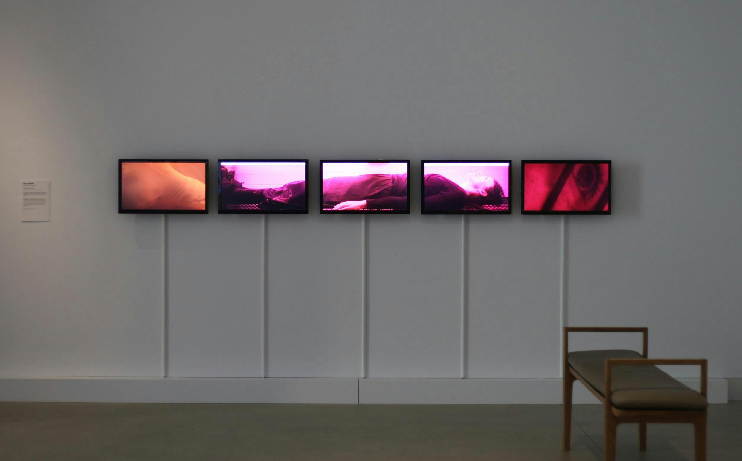 5 screens with photograph of artist