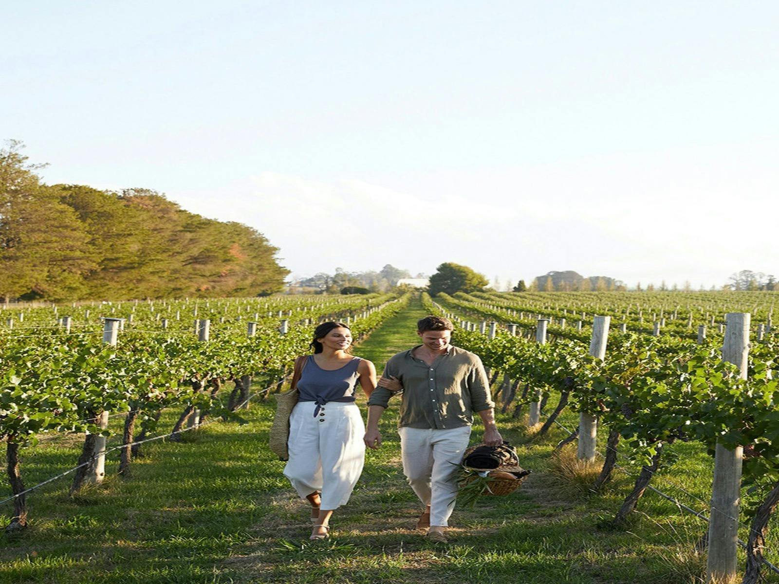 罗利的情人节野餐