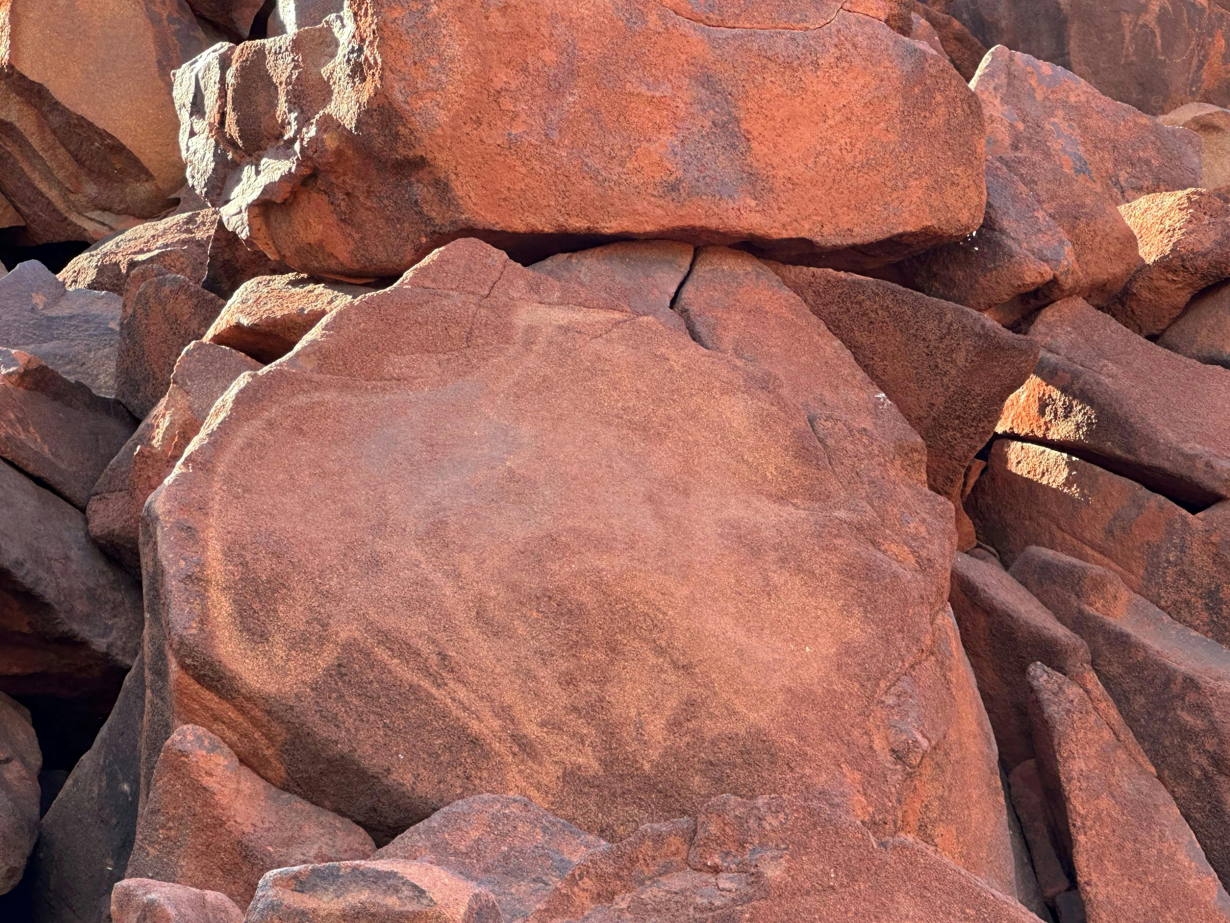 Also called a petroglyph