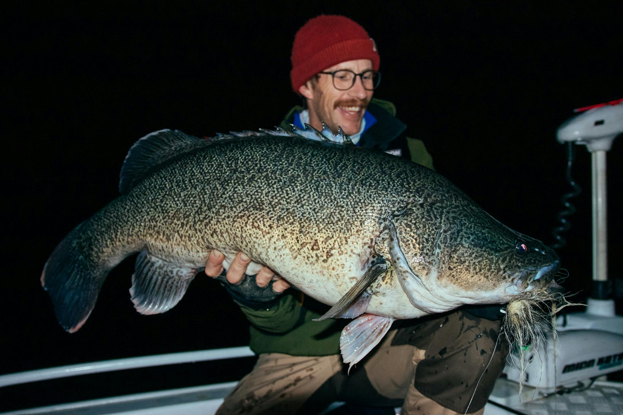 Join Snowy Valleys Fly Fishing in chasing the largest Murray Cod in Australia  on lure and fly