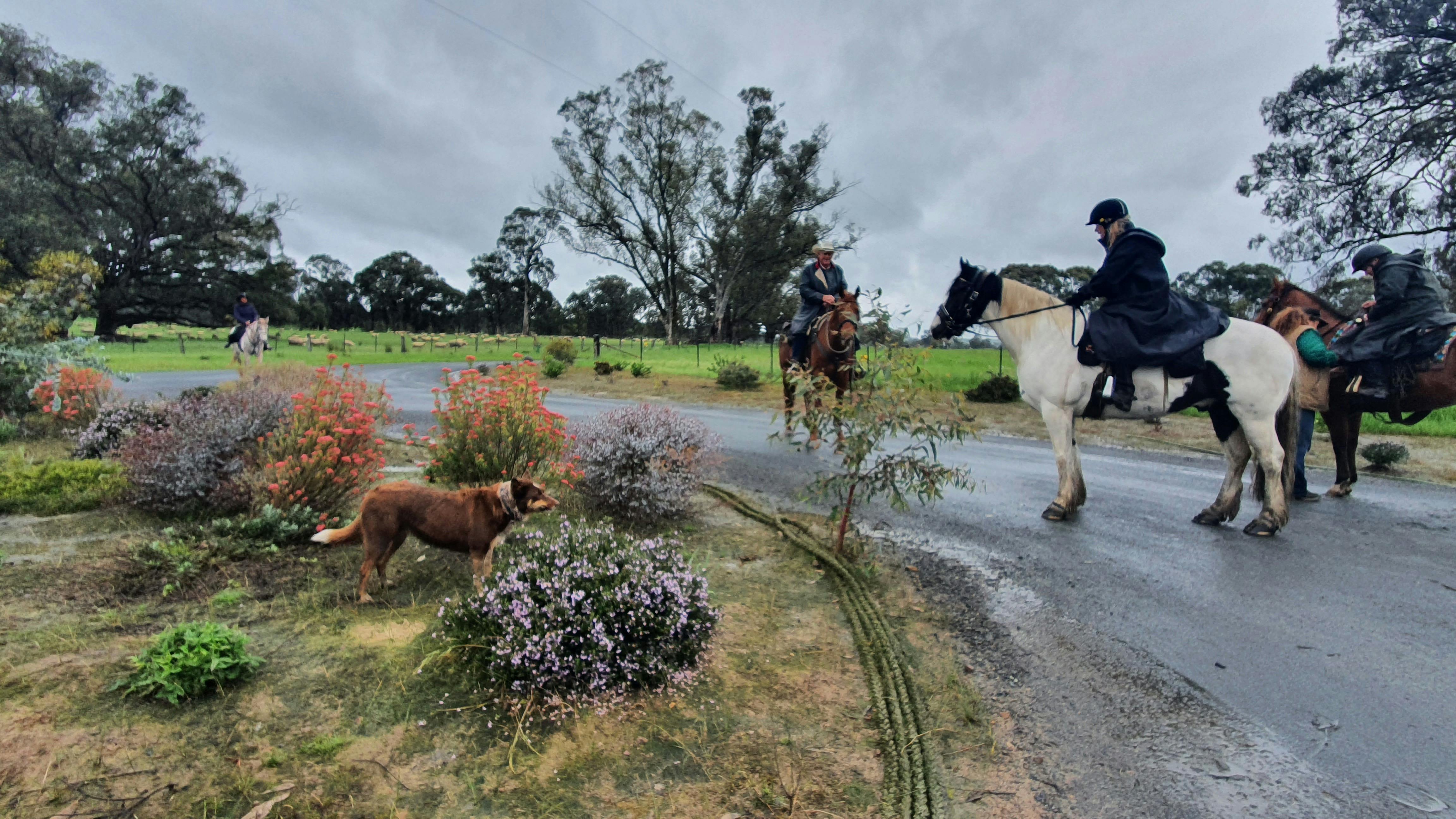 Rail trail visitors
