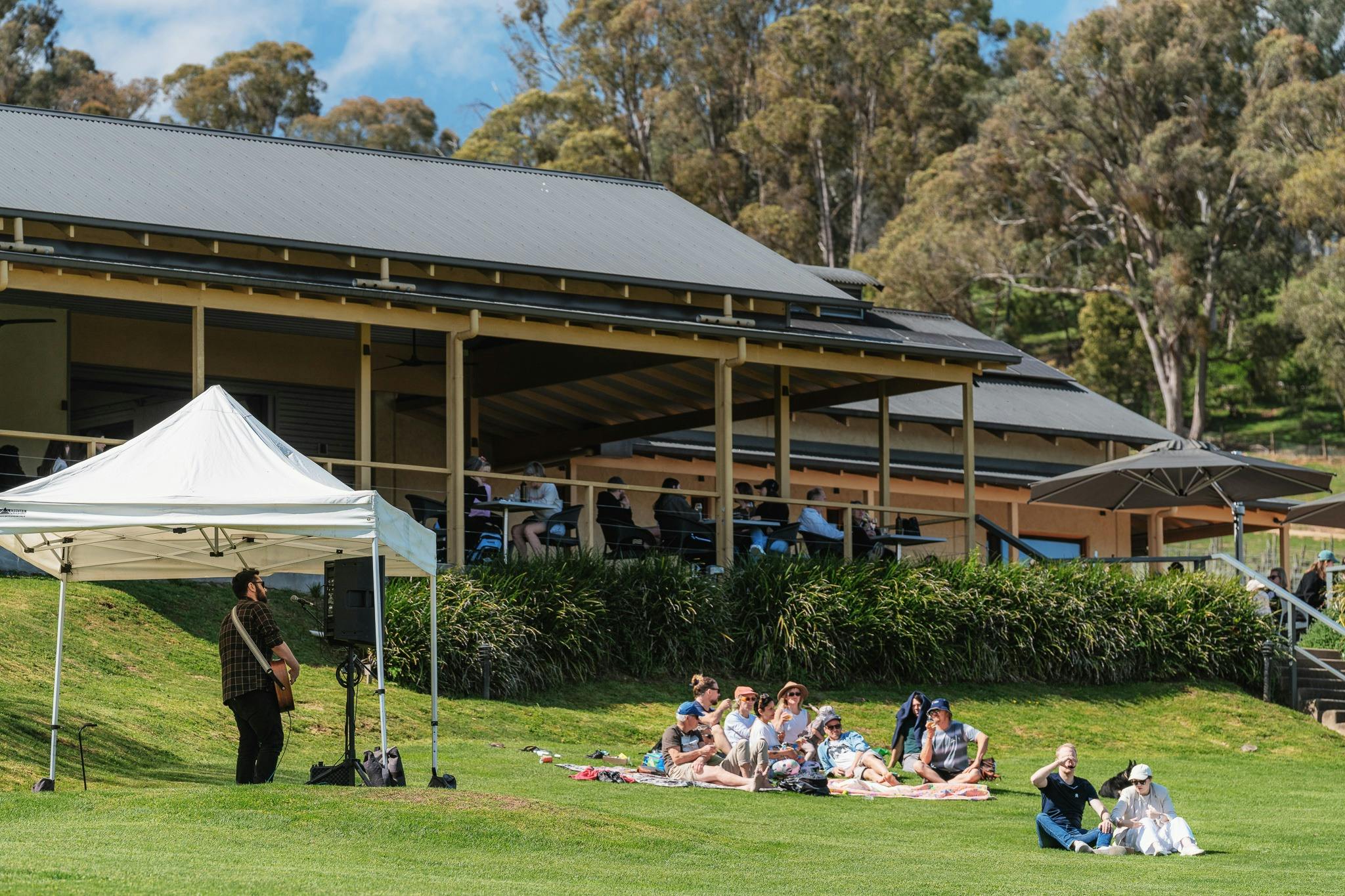 Guests enjoying Live music on the lawn at Ringer Reef