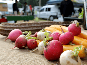 Freo Farmers Market