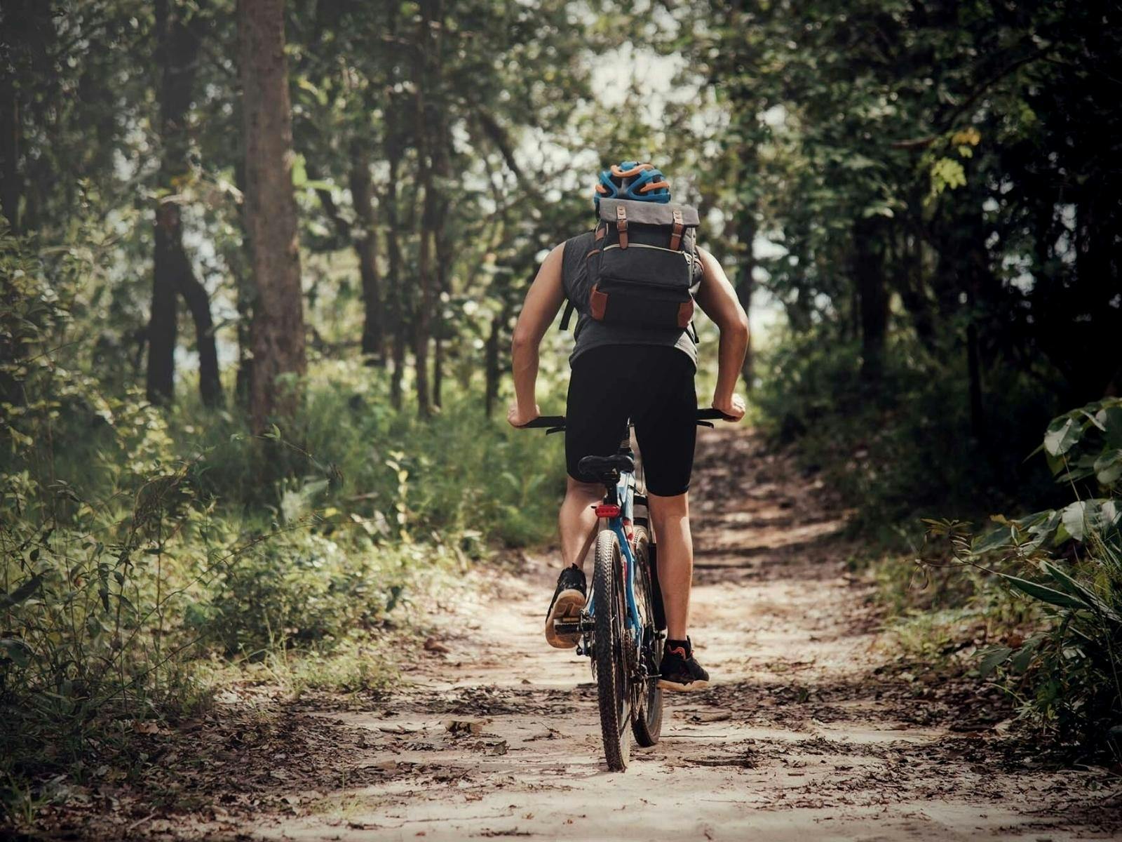 Harrington Adventure mountain bike hire