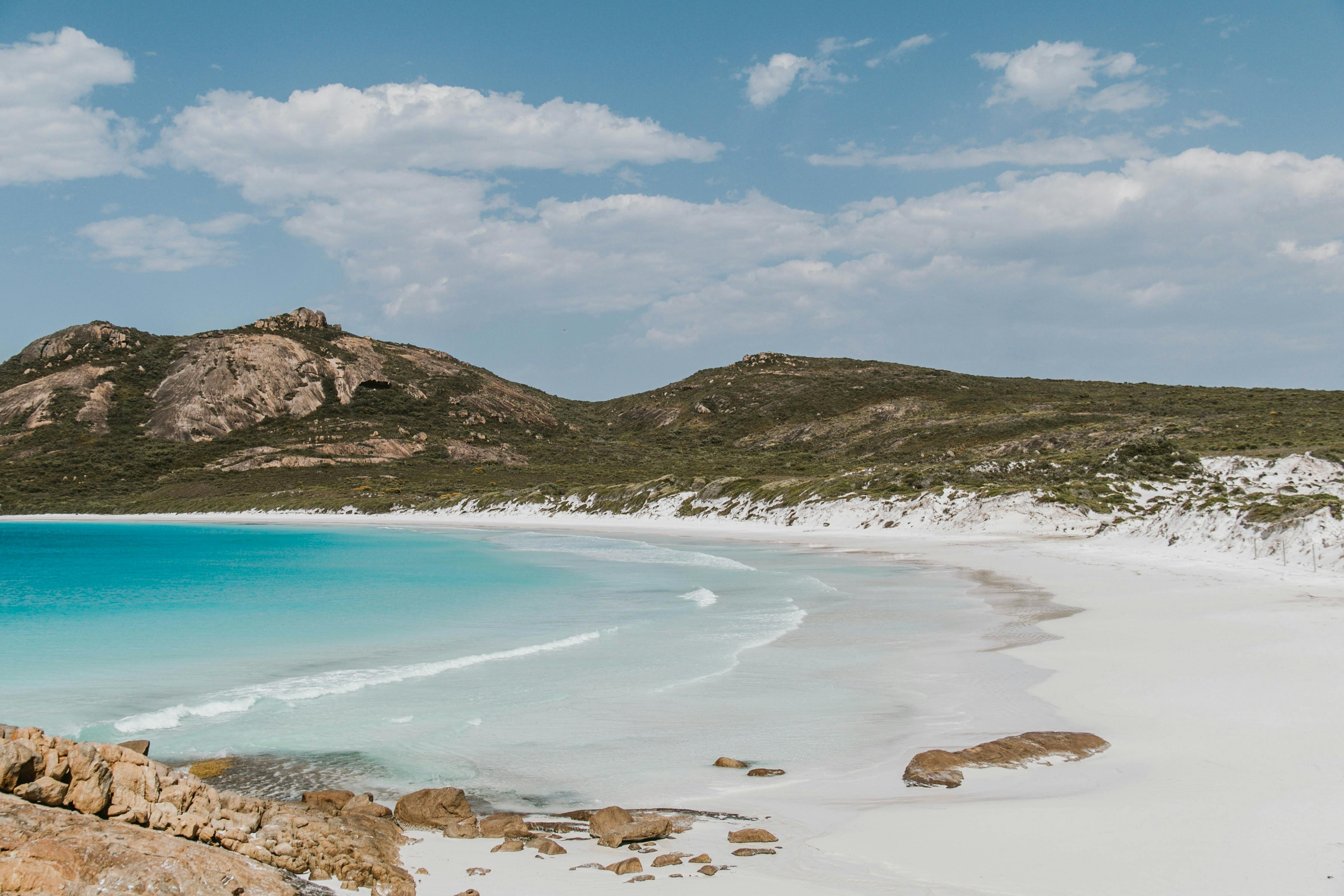 Thistle Cove