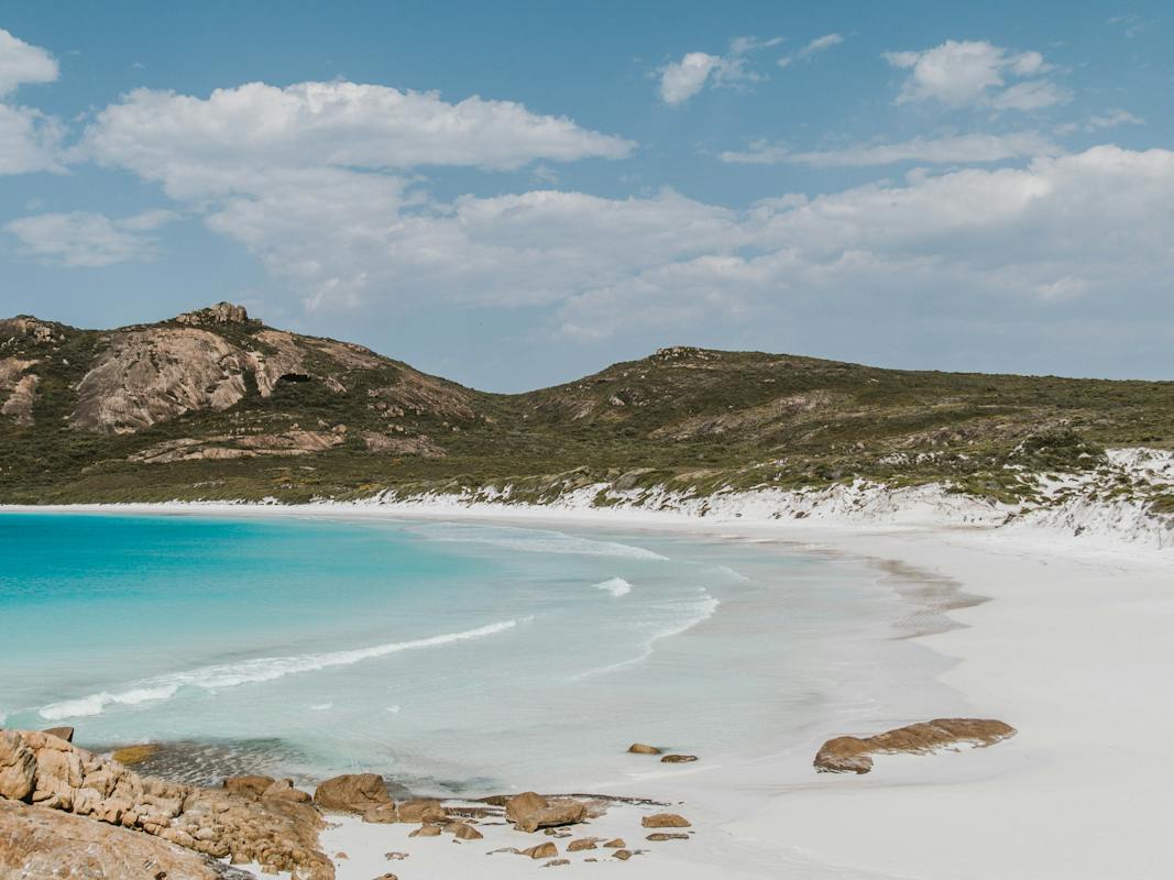 Thistle Cove