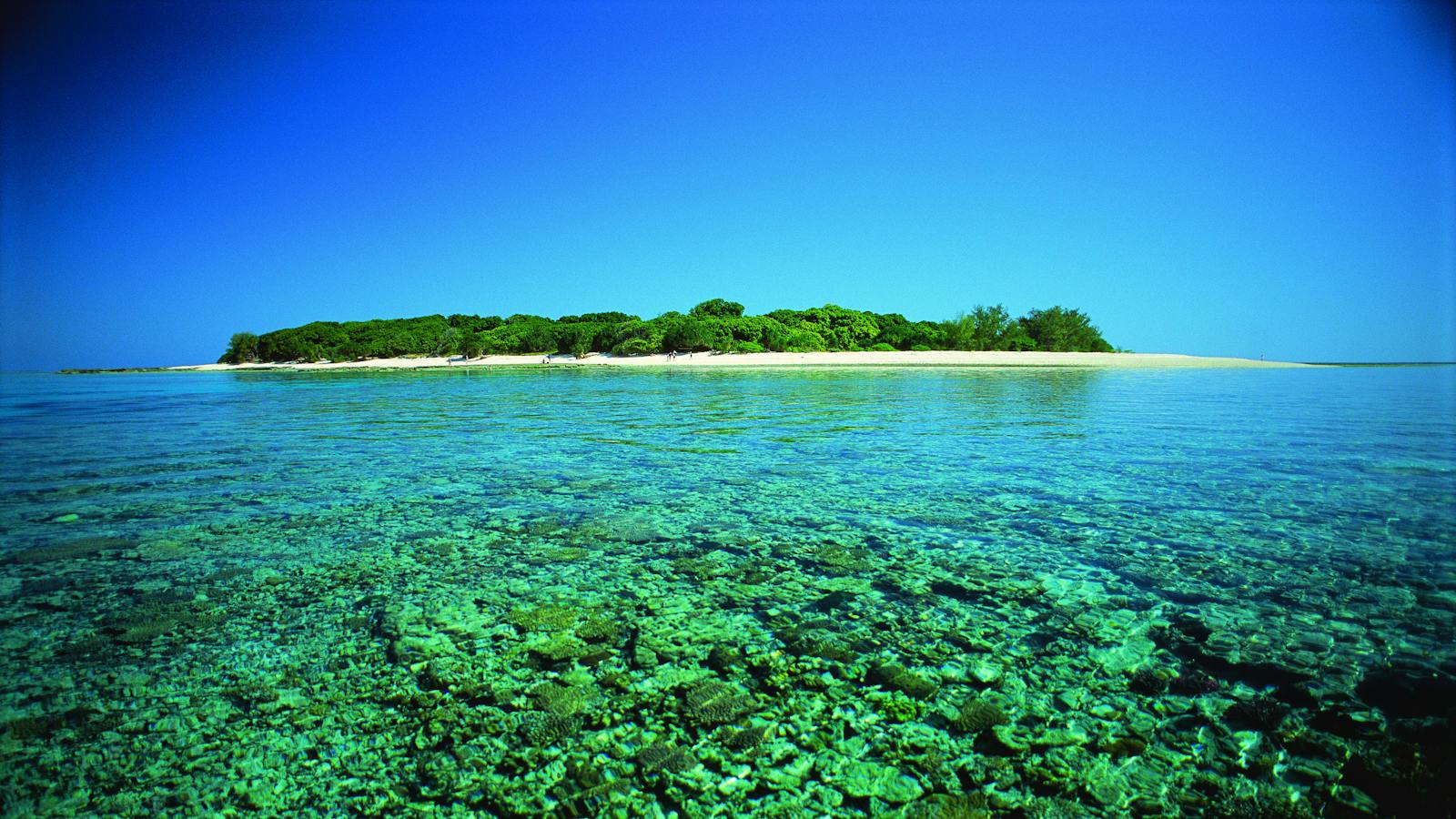 Lady Musgrave Island
