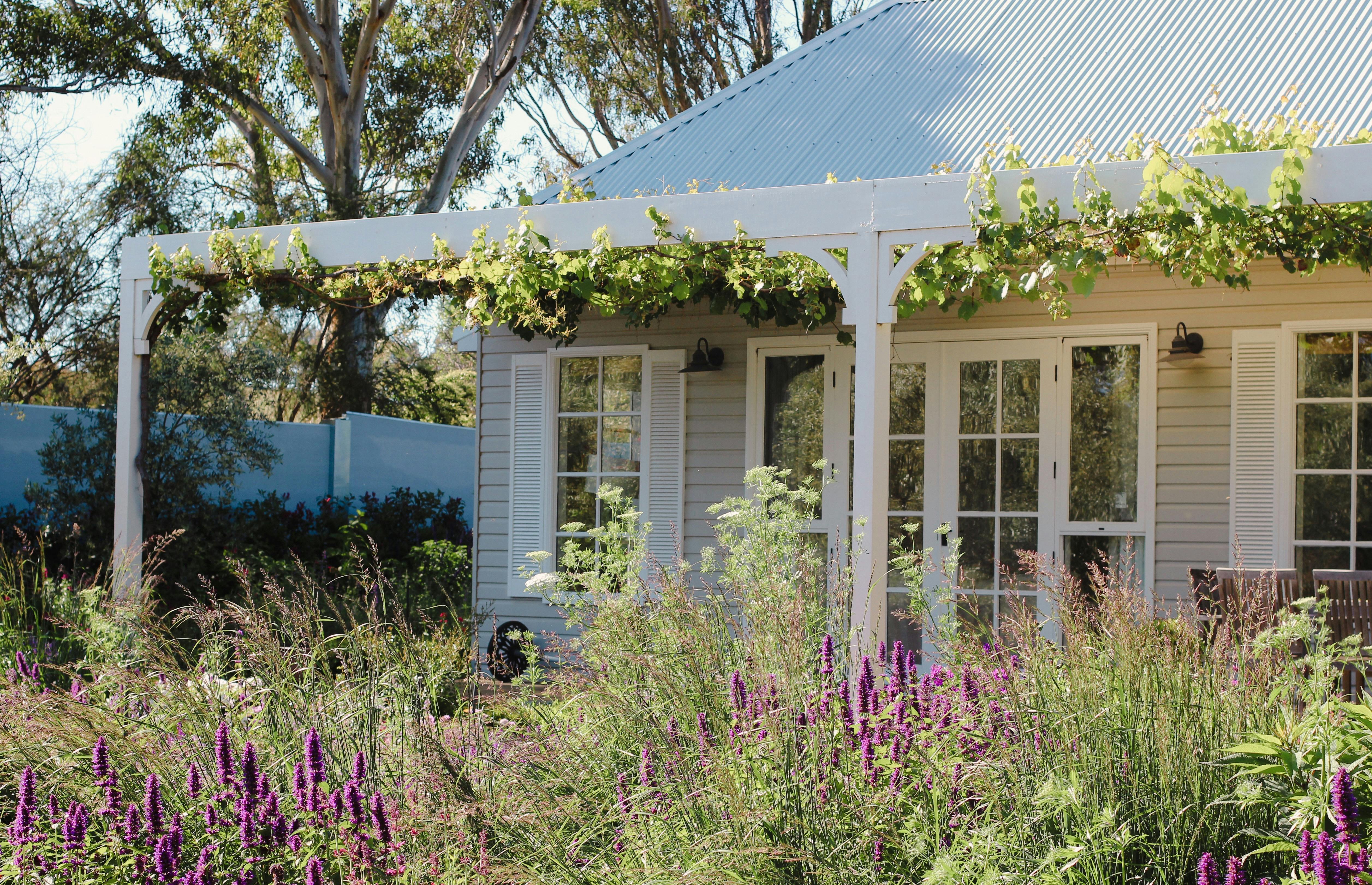 Picture of a grey and White House with a pergola and vine and naturalistic garden in the foreground.