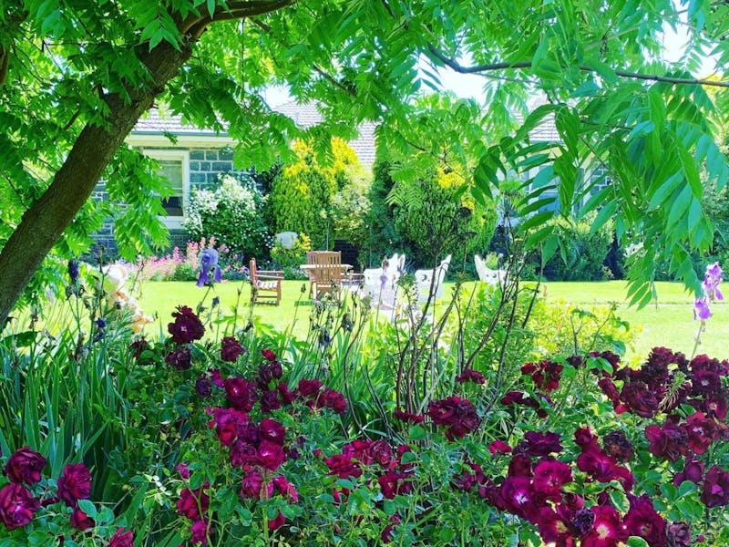 Image for Open Garden at Historic Merryville Homestead