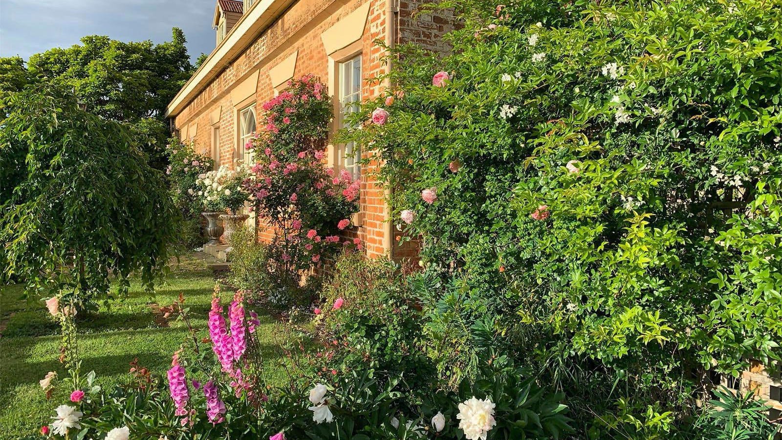 Racecourse Inn exterior with climbing roses