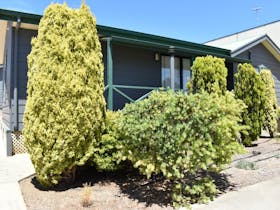 Photo contains 2 Villas and displays the lush greenery that can be found at Port Lincoln Villas.