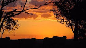 Touts Lookout