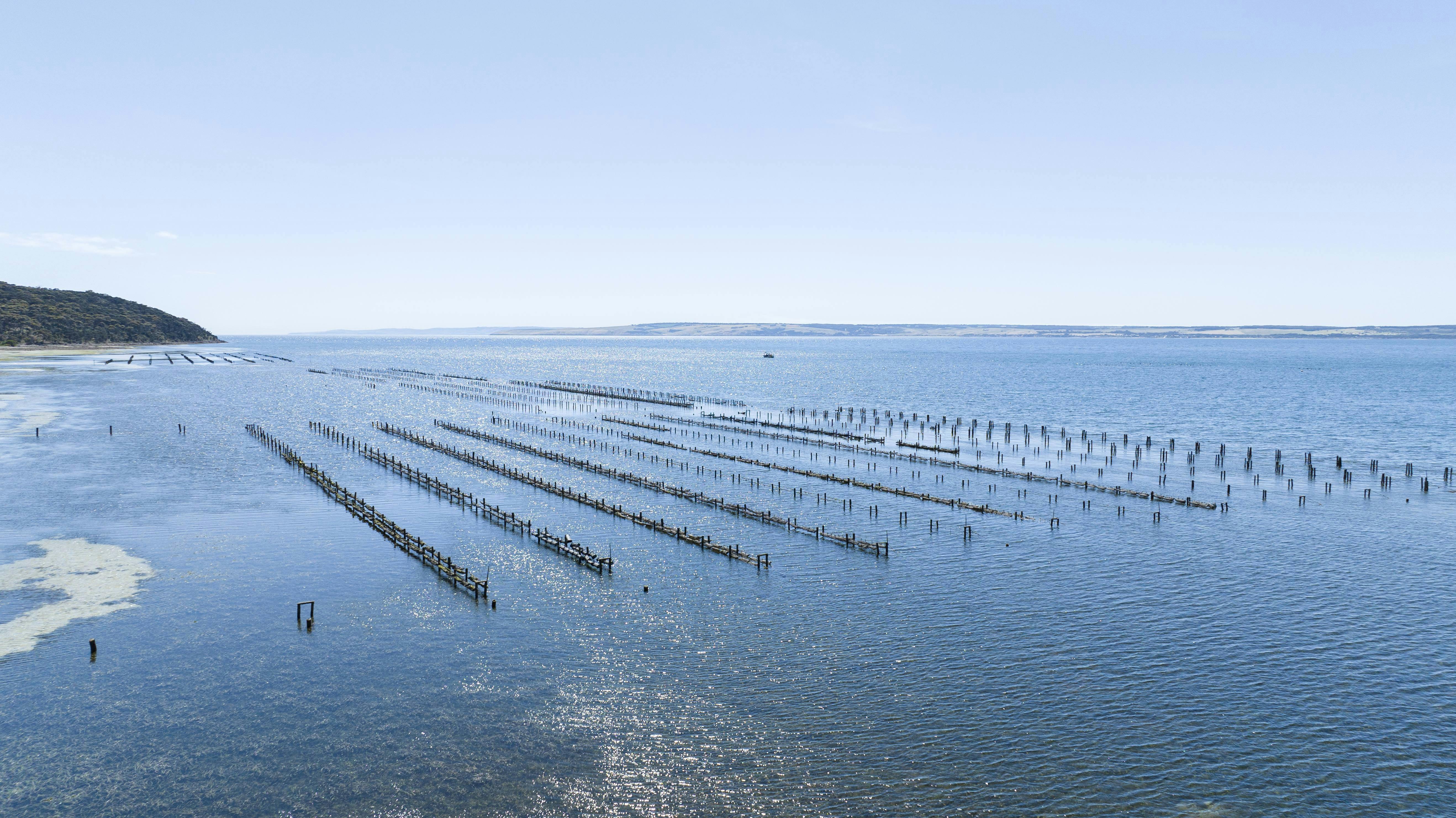 Oyster Farm Lease